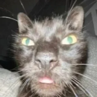 🤯
