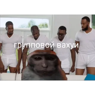 🐵