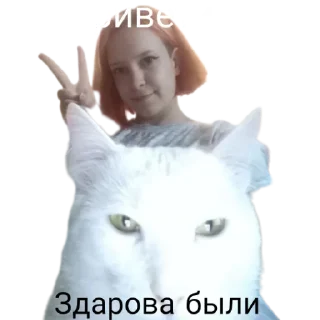 ✋