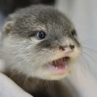 😦