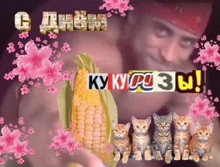 🌽