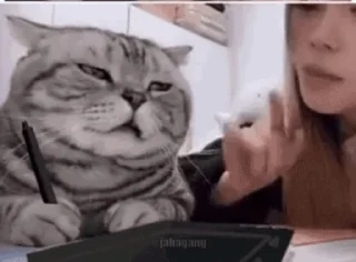 😑