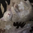 😴