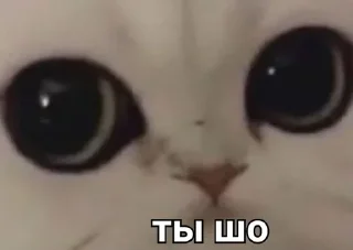 😐