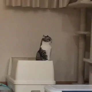 🙁