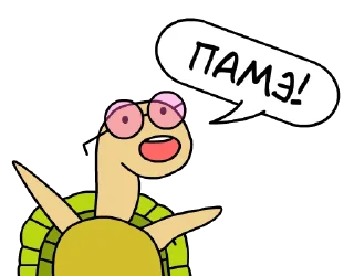 🐢
