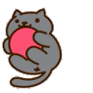 🐈‍⬛