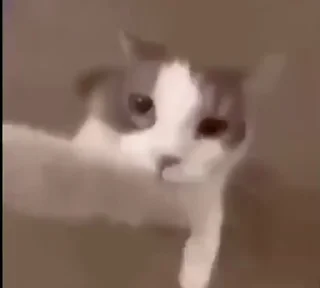 💋