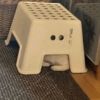 👀