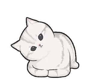🐱