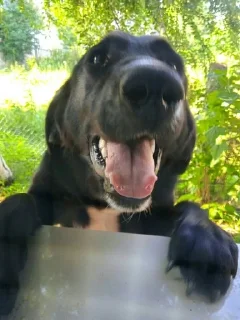 😄