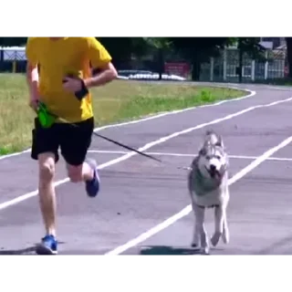 🏁
