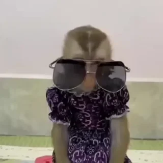 😎