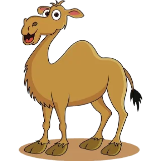🐪
