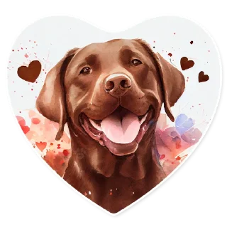 🍫