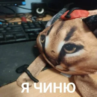 🧑‍🔧