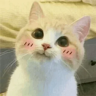 ☺️