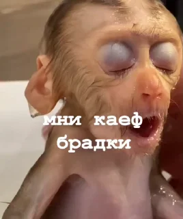 🤩