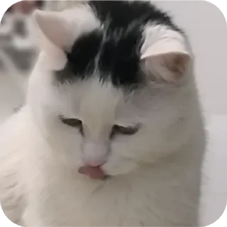 🥺