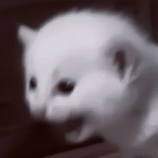 🥠
