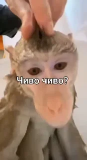 🥽