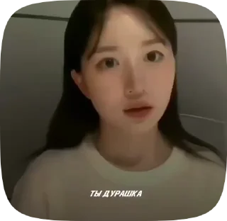 🗯