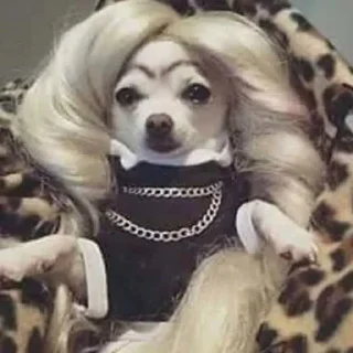 👸