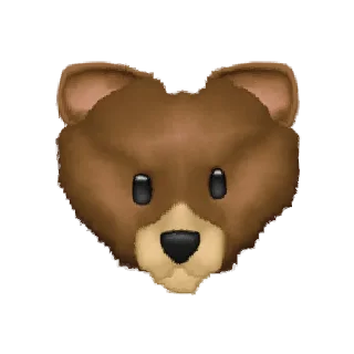 🐻