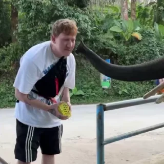 🫶