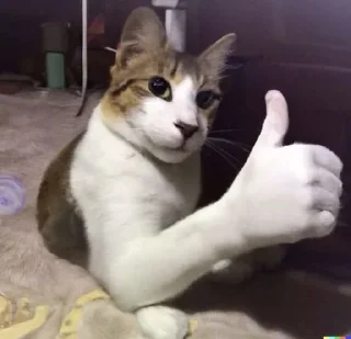 🌟