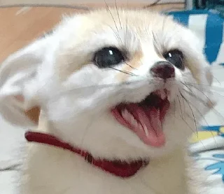 😁