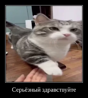 😱