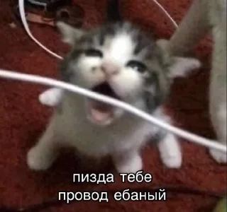 🤬