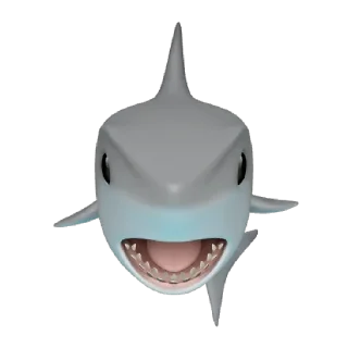 🦈