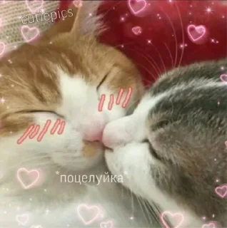 💋