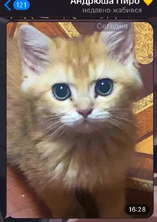 💛