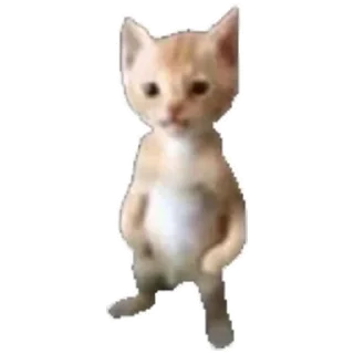 😧