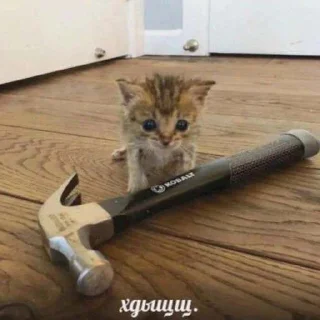 😡