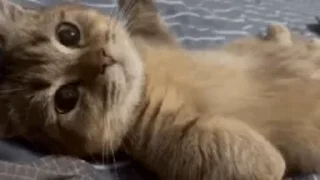 👋