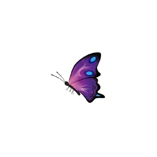🦋