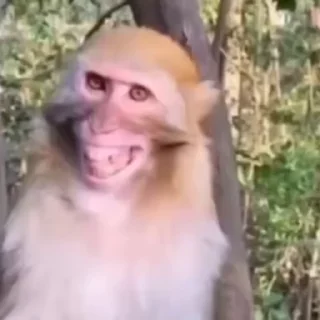 😆