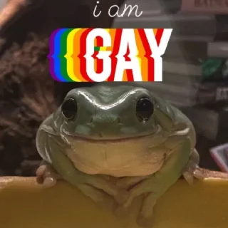 🏳‍🌈