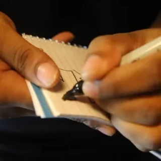 😶‍🌫️