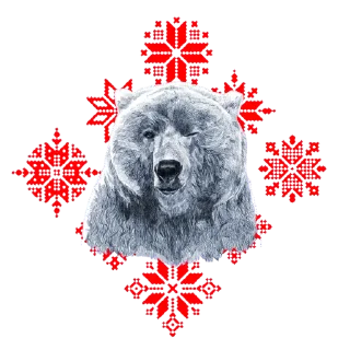 🐻