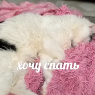 🥱