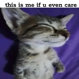 😴