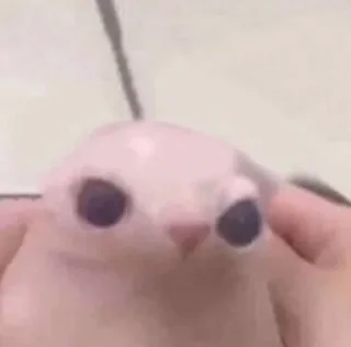 🤪
