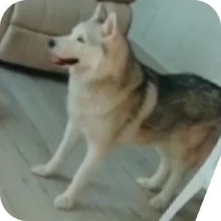 👍