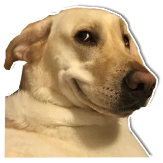 😏