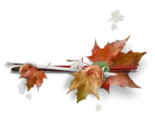 🍂